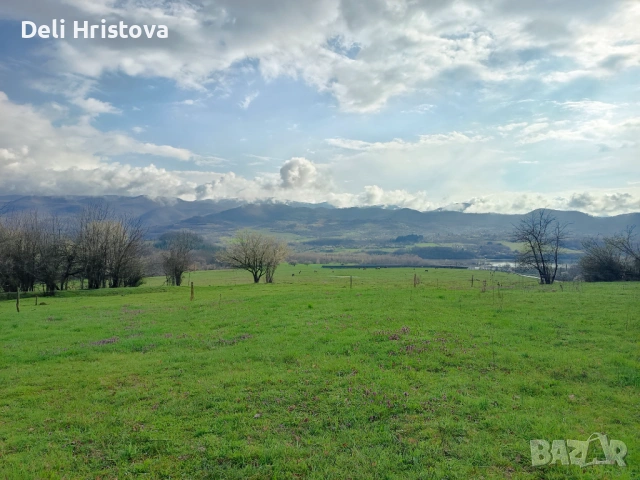 Няколко съседни имота в село Голяма Желязна до язовир Сопот 