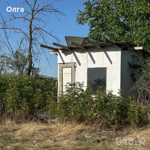 Продава се работещо пчеларско стопанство - област Пловдив, снимка 6 - Други - 55617294