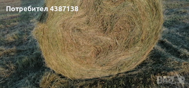 Рулонни бали сено , снимка 4 - За селскостопански - 54806775