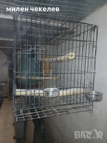 клетка развъдна за жако,амазона, снимка 5 - За птици - 54723986