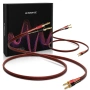 2 X 4m HiFi OFC Audio Speaker Cables Gold-Plated Banana Plugs 2x2.5mm, снимка 1