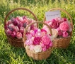 🌷 Ръчно изработени кошници със сапунени цветя и свещи по поръчка., снимка 10