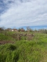 парцел в село Кутово, Видинско, снимка 3