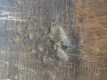 Топор брадва 800 с 2 печата, снимка 4