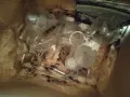 Ретро Медицински принадлежности, снимка 8