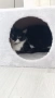 Травмирана котка остава на улицата, снимка 5