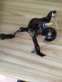 Shimano Soare CI4+C2000SSPG., снимка 5