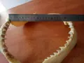 Челюсти от Бича Акула 100% Автетична, снимка 11