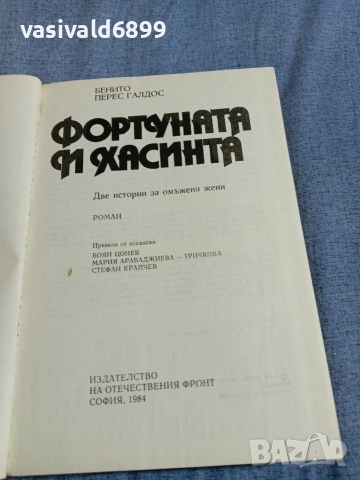 Бенито Галдос - Фортуната и Хасинта , снимка 4 - Художествена литература - 55239150