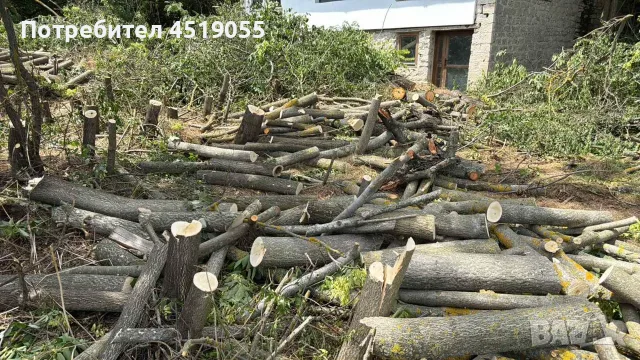 Продавам Къща в с Николаевка общ Суворово обл Варна , снимка 13 - Други услуги - 55440547