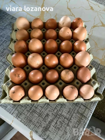Продавам домашни яйца, снимка 3 - Домашни продукти - 55018433