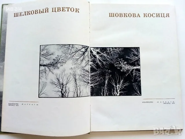 Фотоалбум " Шелковый цветок "  - 1973г., снимка 2 - Изкуство, музика, кино и фотография - 55602587
