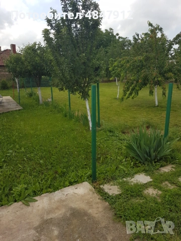 Ograda