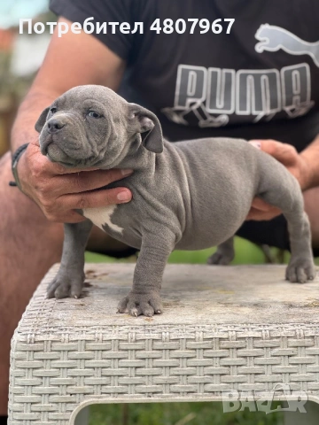 Американско були Хл, снимка 4 - Други - 54314440