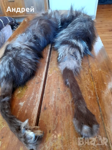 Стара кожена яка, снимка 3 - Други ценни предмети - 54368116