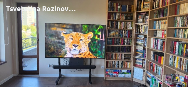 Телевизор SONY BRAVIA XR-75X90K, 4K Ultra HD, снимка 4 - Телевизори - 55119134