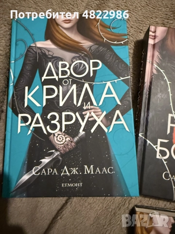 Дворовете от Сара Дж.Маас, снимка 3 - Художествена литература - 55533565
