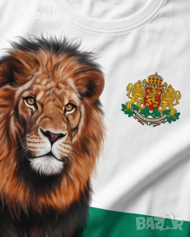 БЪЛГАРИЯ 🇧🇬🇧🇬 мъжки спортни тениски , снимка 2 - Спортни дрехи, екипи - 22808854