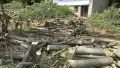 Продавам Къща в с Николаевка общ Суворово обл Варна , снимка 13