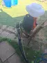 Моторна  пръскачка , снимка 3