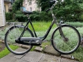 Gazelle orange gold line, снимка 1
