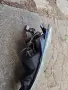 фарове с лупи за Peugeot 206, снимка 7