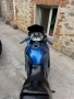 Suzuki gsx 600f, снимка 5