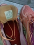 Asics Gel Cumulus N 42, снимка 5