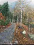 Есенен сняг на Витоша, снимка 1