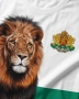 БЪЛГАРИЯ 🇧🇬🇧🇬 мъжки спортни тениски , снимка 2