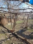 Продавам къща в село Кюлевча , снимка 5