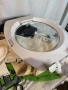 Продавам врати за перални , снимка 9