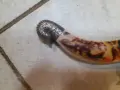Красив азиатски нож,кинжал,кама,сабя,ятаган, снимка 5