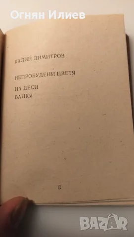 Кралицата Елица, библиофилско издание стихосбирка , снимка 4 - Художествена литература - 55335642