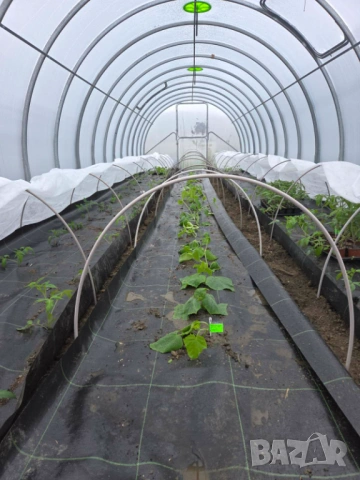 Оранжерия 3х6 с поликарбонат/ безплатна доставка/, снимка 16 - Оранжерии - 53461308