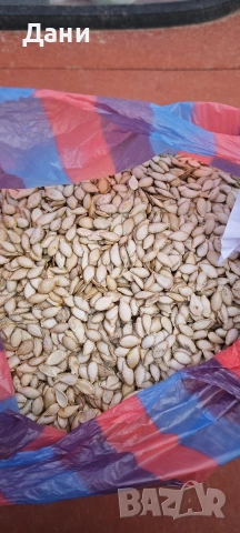 Продавам семе за тикви Цигулки 