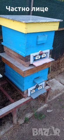 Кошери ДБ, снимка 3 - За пчели - 54252523