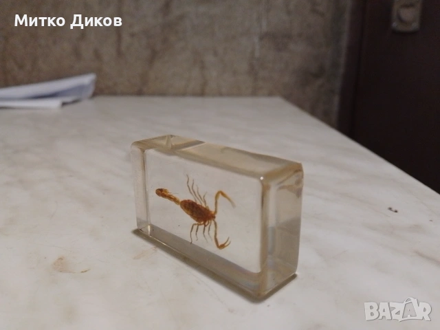 Паяче в стъкло за украса 60х34х18 мм, снимка 3 - Декорация за дома - 55146647