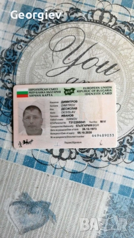 Американски булдог , снимка 10 - Други - 54720368