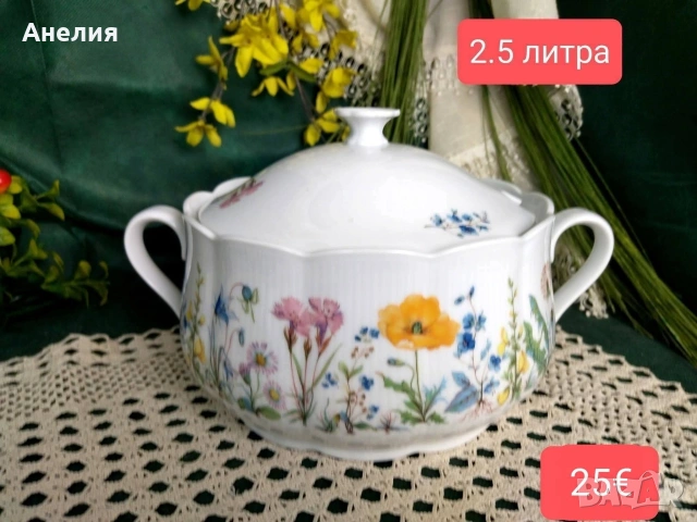 Seltmann Bavaria съд цветен за сервиране 