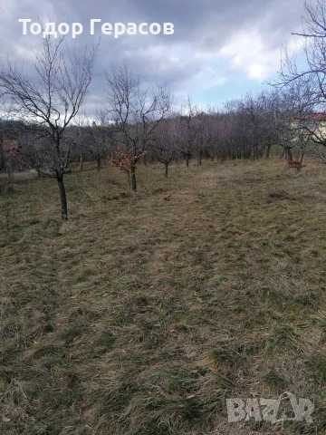 Парцел в регулацията на с.Гумощник, снимка 3 - Парцели - 55001026