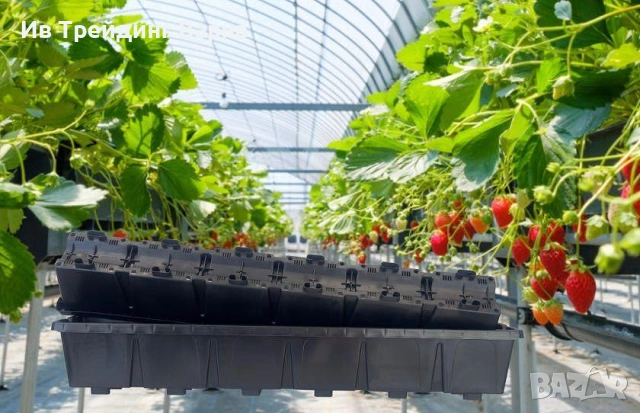 Продавам вертикални саксии за ягоди 15л. – гр. Варна.