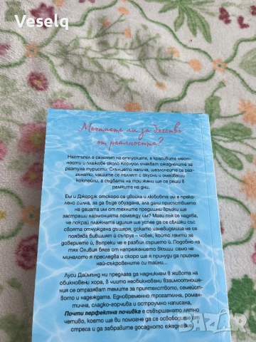 Продавам  две книги: Едно лято в Италия   и Почти перфектна почивка , снимка 4 - Художествена литература - 54942089