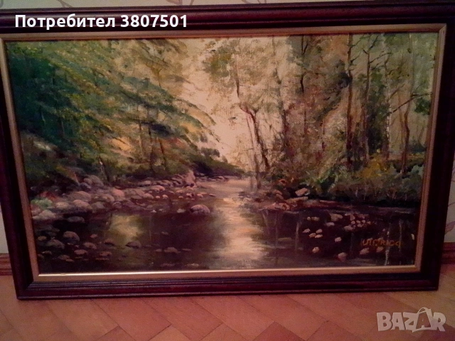 КАРТИНА С МАСЛЕНИ БОИ , снимка 2 - Картини - 43946443