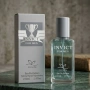 INVICT For Men – Дълготраен мъжки парфюм за енергия, свежест и увереност 22 мл, снимка 3