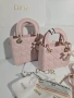 Mini Lady Dior Дамска Чанта От Агнешка Кожа Код Brand Luxury Fashion24, снимка 9