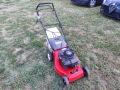 Бензинова самоходна косачка с кош Efco BriggsStratton Quantum50 190cc 5кс 4t 47см 30кг, снимка 8