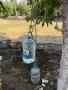 Стар месингов/ меден кантар топузлия, снимка 10