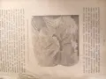 Книги от 1908 г. и 1945 г., снимка 12