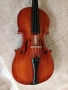 Цигулка за юноши , снимка 1